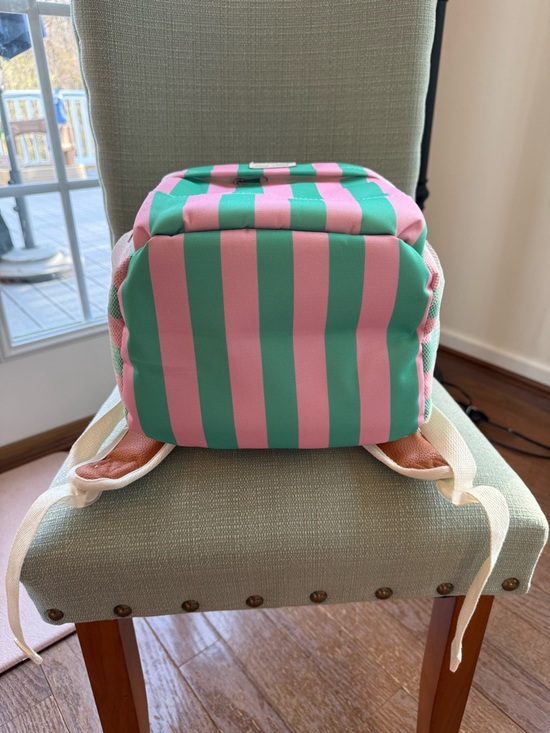 STANLEY 40oz Tumbler & ‘Cool Planet’ Cooler Backpack in Pink & Green - NWT - Picture 9 of 13